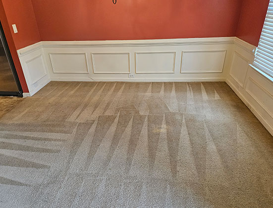 Carpet Care Recommendations From Us | UCM Upholstery Cleaning Washington DC