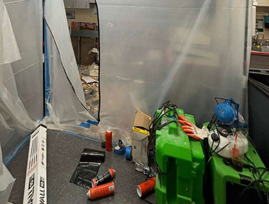 What should you know about mold and mold services in the DC area?