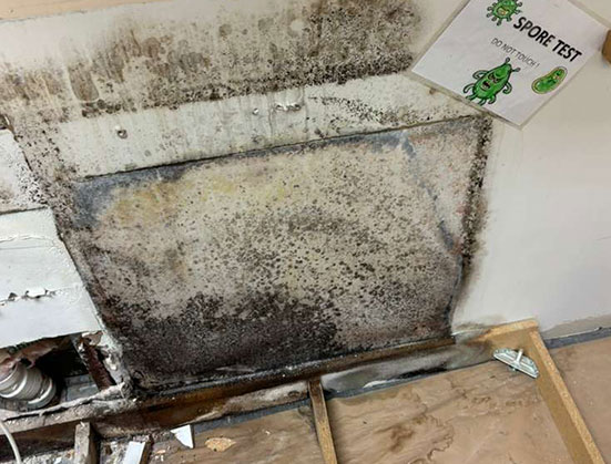 Mold Removal Washington DC